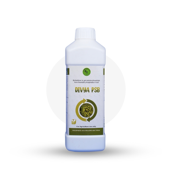 Divya PSB